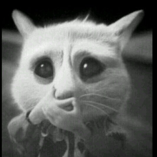 aqwsd1234's profile picture. 