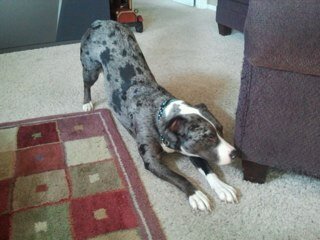 meunier_denis's profile picture. 