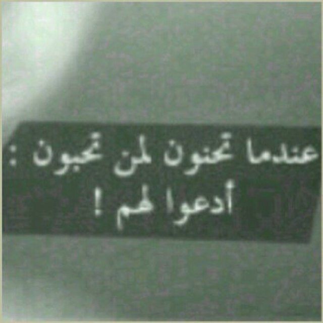 فولمي فولو باك