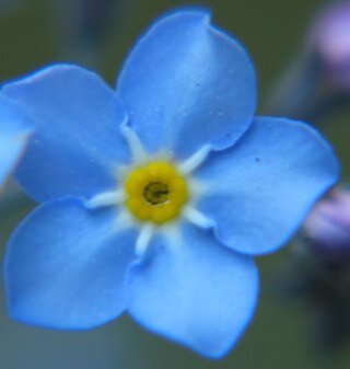 igwfmpen's profile picture. Official Twitter Feed for the Investors group Walk For Alzheimers - Penticton. Penticton, British Columbia, Canada.