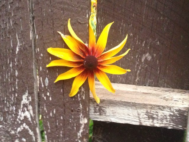 KEepsmiling0818's profile picture. 