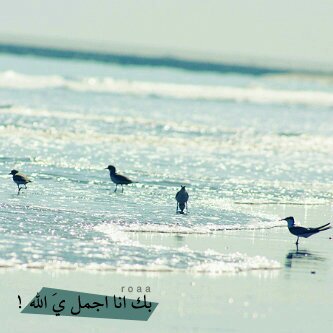 استغفر الله ♥