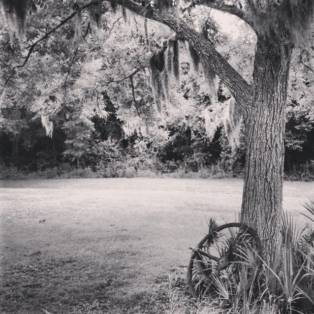 loolabelle12's profile picture. 