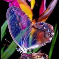 Meg Purtell (@m_purtell) 's Twitter Profile Photo