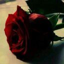 منال العتيبي (@0mnola0) Twitter