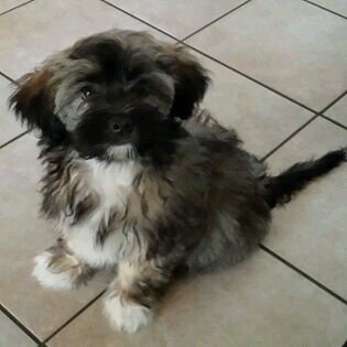 angelaloves1968's profile picture. 