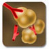 J Autoimmun Cell Res (@autoimmunj) 's Twitter Profile