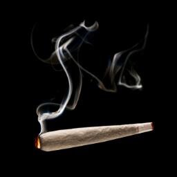 sefi_butt's profile picture. 