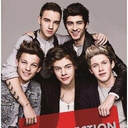 zayn,harry,liam,niall and louis...XD