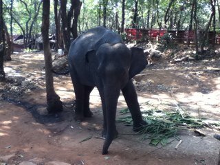 LecerfIsabelle's profile picture. 