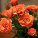 aisha saeed - @hams_97 - Twitter