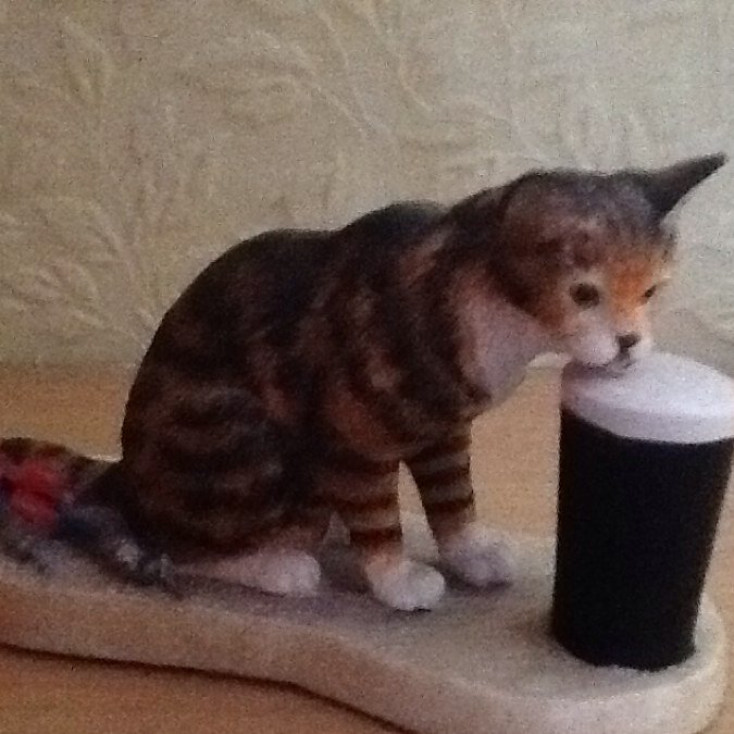 pdchips's profile picture. 