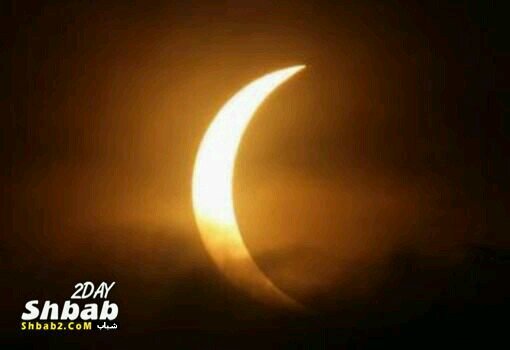 triview1987's profile picture. 