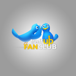 We use @Traffup to get twitter followers, retweets and website traffic.