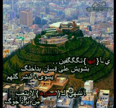 algodak5473's profile picture. 