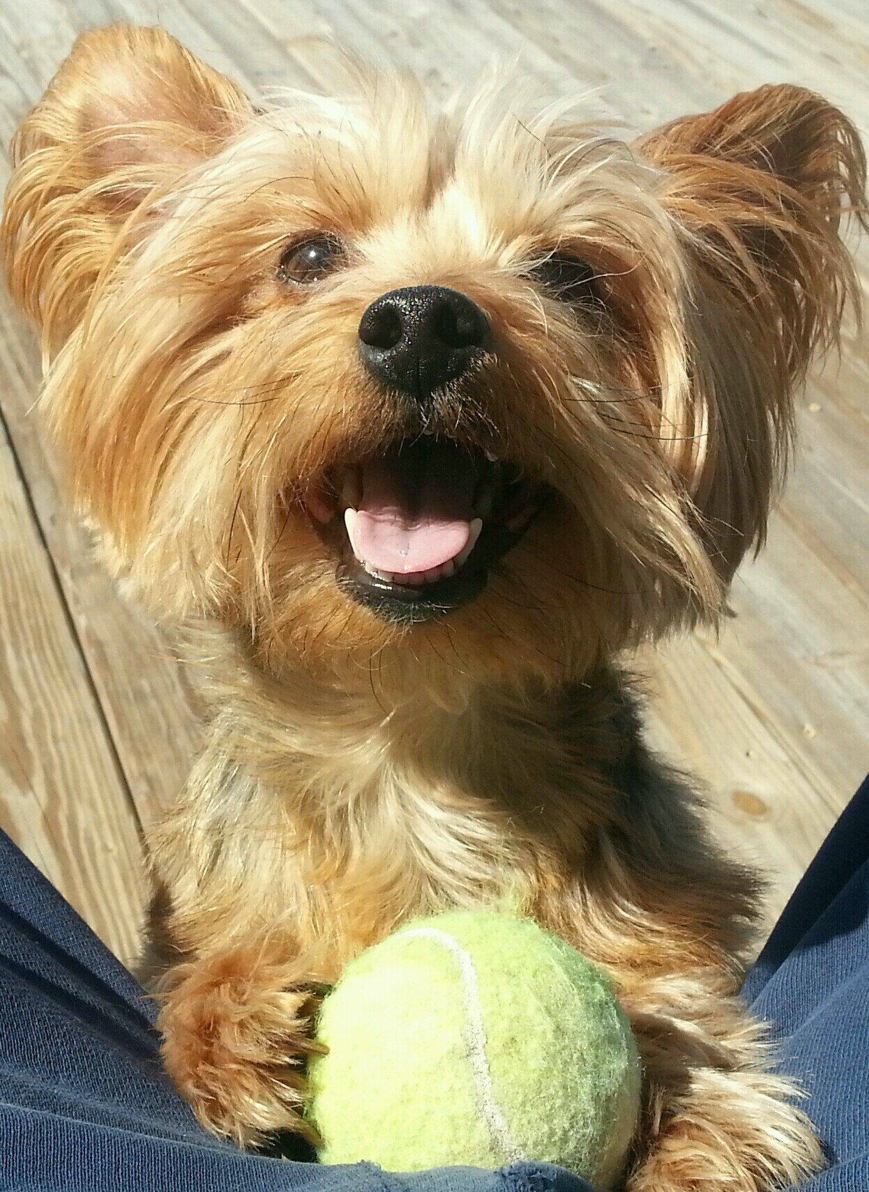 titus1verse2's profile picture. Christian that believes every word of KJV Bible