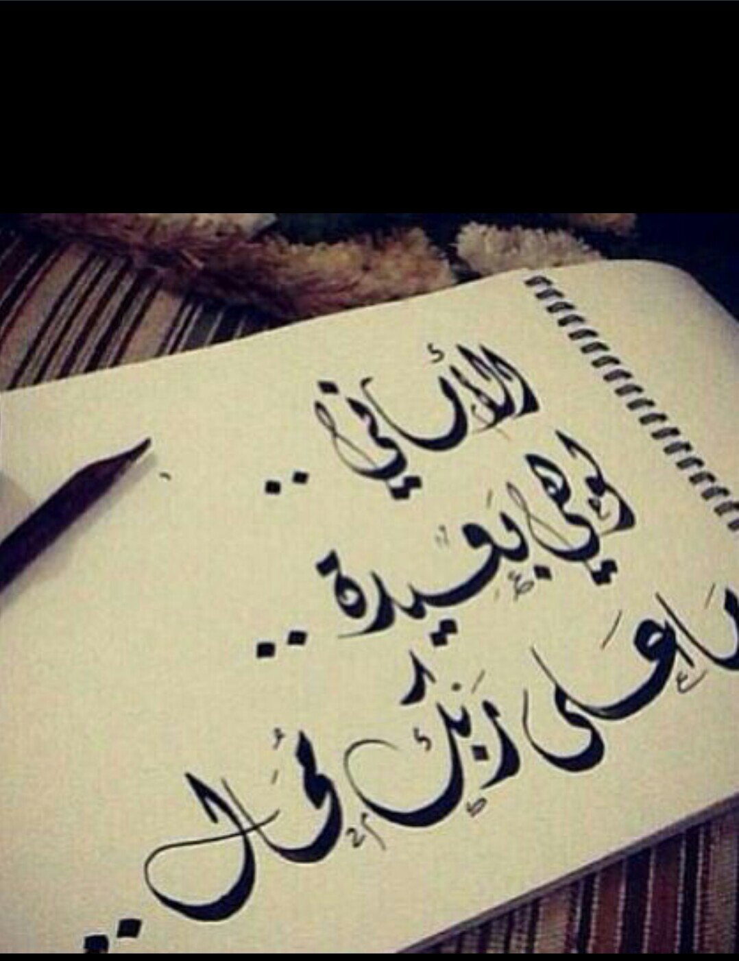 ‏‏أنا من الي عزهم يشبه الشمس
             أحرار طي وعزوتي شمريه