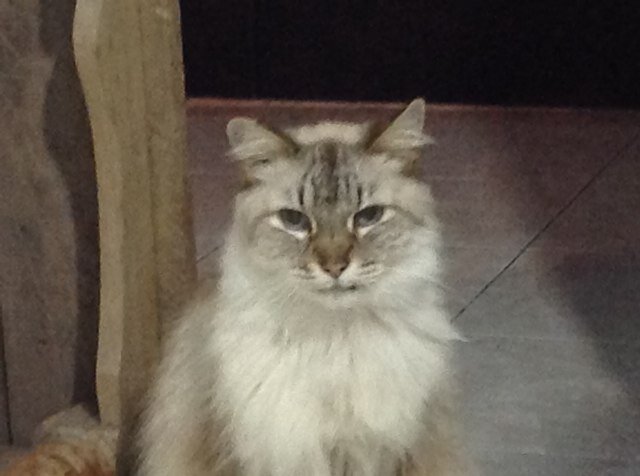 Aluro's profile picture. 