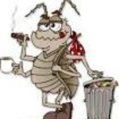 _robvandam's profile picture. 