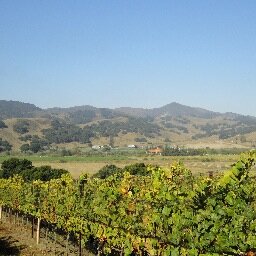 from Arneis to Nebbiolo and the varietals of life . . .
