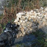Nina Graham (@creaturessest) 's Twitter Profile