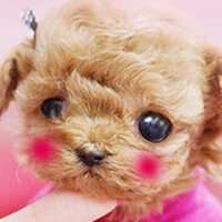 🌈✨のん✨🌈 (@nontanmama333) 's Twitter Profile Photo 🌈✨のん✨🌈 (@nontanmama333) 's Twitter Profile Photo