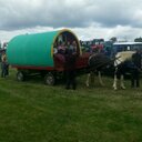 Edward Heffernan - @eddieheffo1 - Twitter