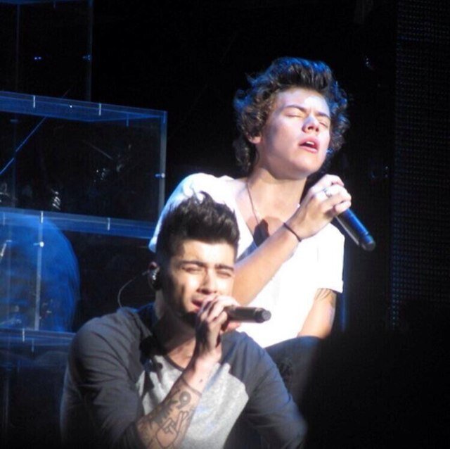 Free follow from @tomlinversity ♡