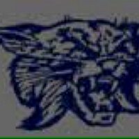 WILDCATS Athletics (@athleticsgc) Twitter profile photo