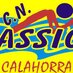 C.N.NASSICA (@cnnassica) Twitter profile photo C.N.NASSICA (@cnnassica) Twitter profile photo