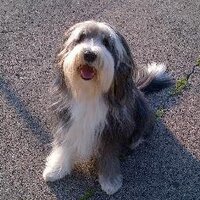 Jeff Sampson (@jeffsampson77) 's Twitter Profile