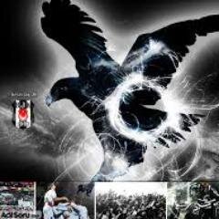 beşiktaş hayranı.