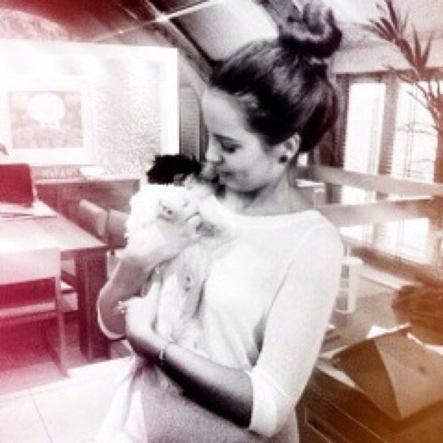 Twitter dedicated to the beautiful Sophia Smith. Please no hate towards this acc or sophia. She doesn't deserve any hate.