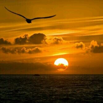 ‏‏‏‏  ..لو وضعت لاإله إلا الله في كفه ،والسموات والارض في كفه.. لرجحت بهن لا إله إلا الله..  ثقلوا ميزانكم بها