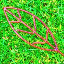 je travaille le metal et le transforme en fleurs, en tuteur de plante grimpantes, en paravent pour le jardin