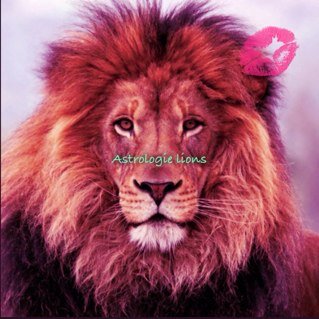 Twitter d'une fille lionne
