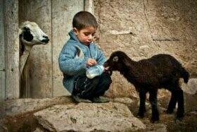 ‏اهتم بالشعر والخواطر.. بعض الحروف انسقها من قلمي .. والبعض اتذوقها..والخاص مهمل ♡