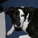 Tom Kaplan - @tkaplan - Twitter