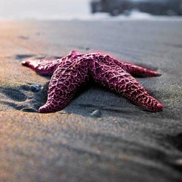 Dark_horse13's profile picture. 