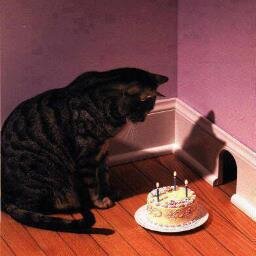 sanneverhoef's profile picture. 