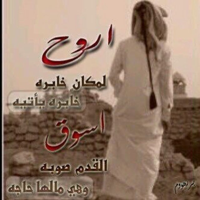 k911a911L911d's profile picture. 