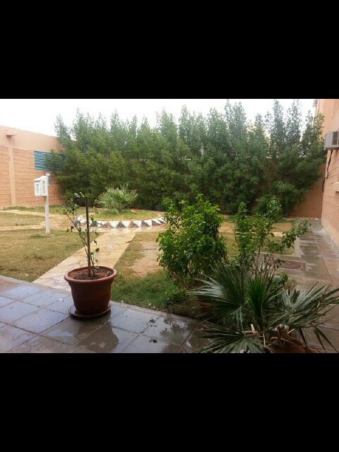 School___199's profile picture. اللـيَ حابـه تنزل أعتـرأف هـذا الأسـك نزلـي اللـي تبغي http://t.co/OC9KxVIl6g