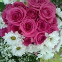 Daria McCabe - @McCabeDaria - Twitter