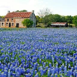 HHussein97's profile picture. 