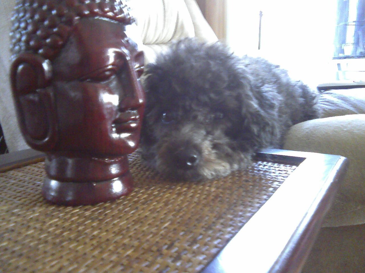 Top10MusicLists's profile picture. I love music.