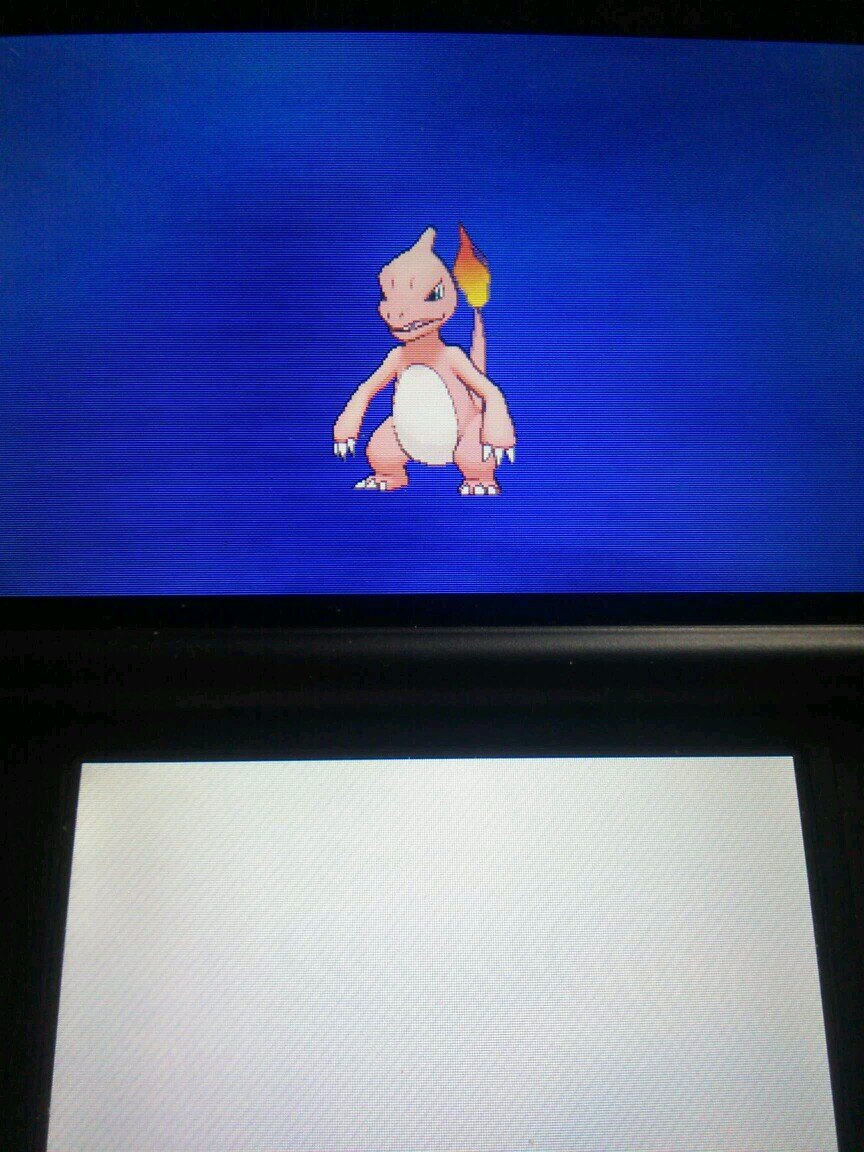 ポケモンやってるよ 出)ポケルス 求) v3以上のポケモン特にオンバット#ポケモンXY