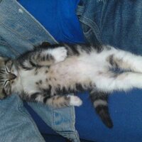 maggie curtis (@mags71c) 's Twitter Profile