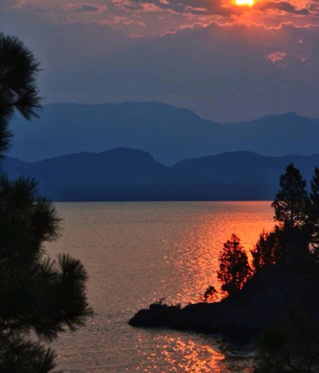 patriciaatho's profile picture. 