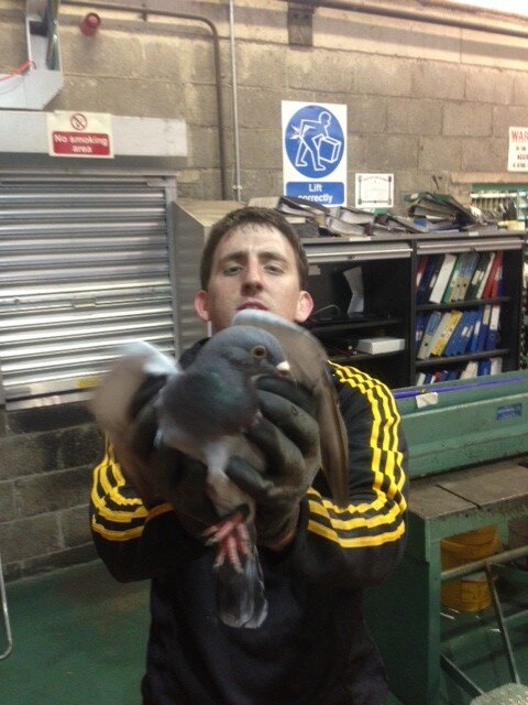 Patrick88ie's profile picture. Neuromuscular Therapy