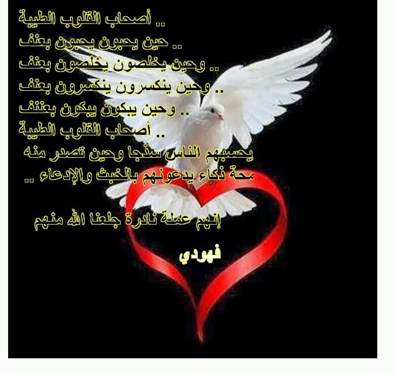 ‏احبك ياعمري